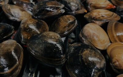 Mariscada Gourmet